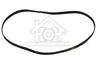 Sharp Wasmachine Universeel Poly-V-snaar 1196 PJE J6 TEM Lavamat 52600 1323531200