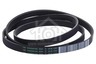 Constructa Wasmachine Bosch Snaar 1252 J5 TEM WLX18060IN, WM10E262CY, WS10F468TI 678914