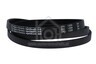 Miele Wasmachine Optibelt Poly-V-snaar EPJ 1320 J5 TEM WS5426,WS5436,W963, 5749920