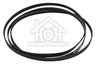 Bauknecht Wasdroger Bauknecht Poly-V-snaar 6PH 1965 TRA 2370-3370 481235818186