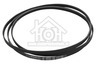 Universeel Wasdroger Poly-V-snaar geschikt voor Whirlpool 6PH1936