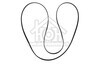 Ikea Wasmachine Universeel Poly-V-snaar 1936 PH6 AWZ681, 481235818164