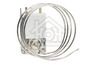 Progress Koelkast Electrolux AEG K57L5885 2262319136 thermostaat
