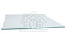 Constructa Koelkast Bosch Glasplaat Compleet KGN33NL20G01, KGN33NL3001 11011742