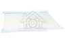 Beko Koelkast Beko Glasplaat Glasplaat koelkast CS240, DS250, RBI1400 4617920500