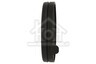 Philips  Saeco 300009074161 Xc7053/01 | Xc7055/01 | Stofzuigerfilter