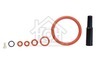Saeco Koffiezetapparaat Saeco Set Revisie set SUP012, SUP031, SUP033 SM2830