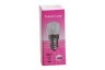 Zerowatt Verlichting Gloeilamp 